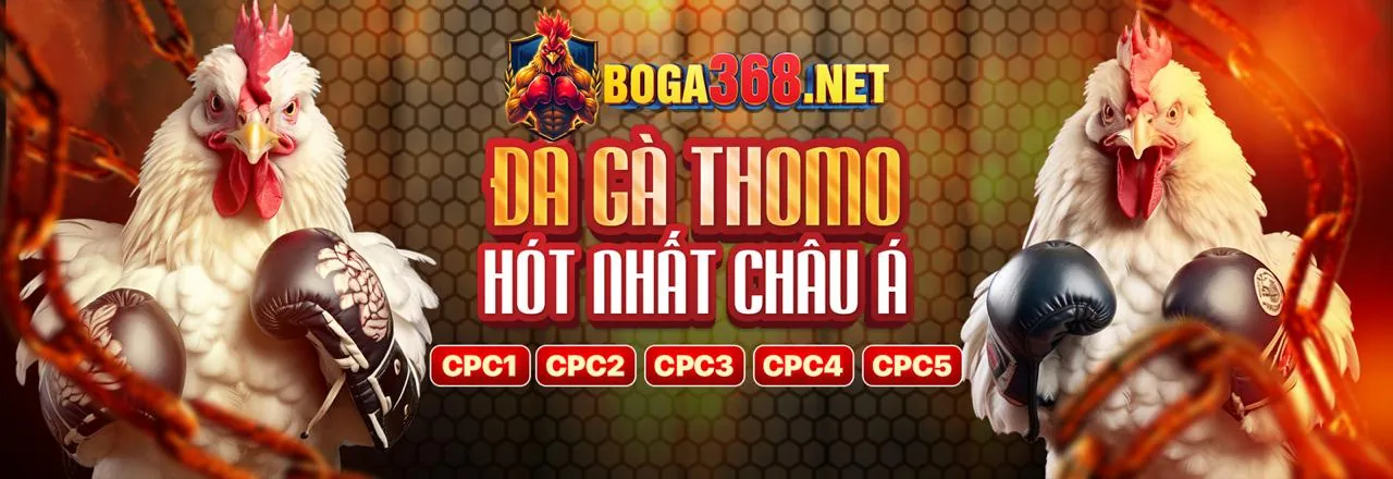 Đá Gà Trực Tuyến HM888