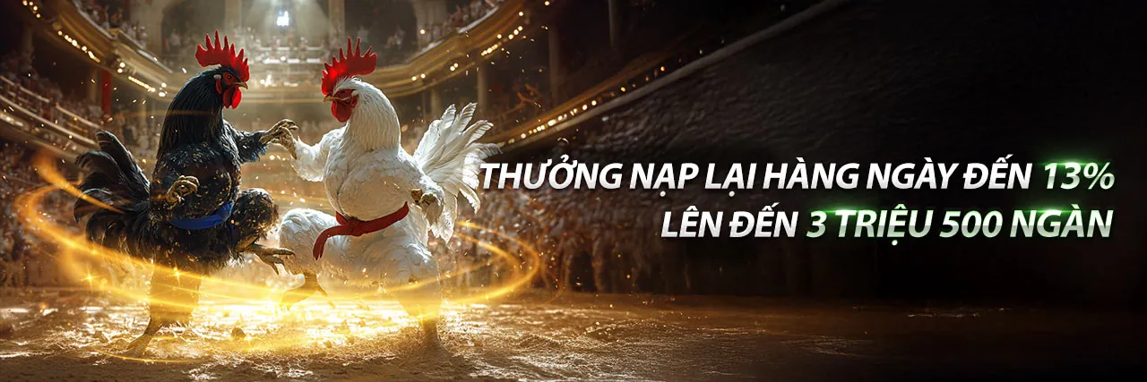 Hình ảnh banner Câu Hỏi Thường Gặp của hm888